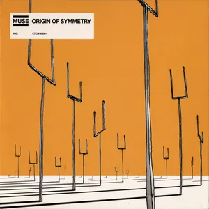 Origin of symmetry